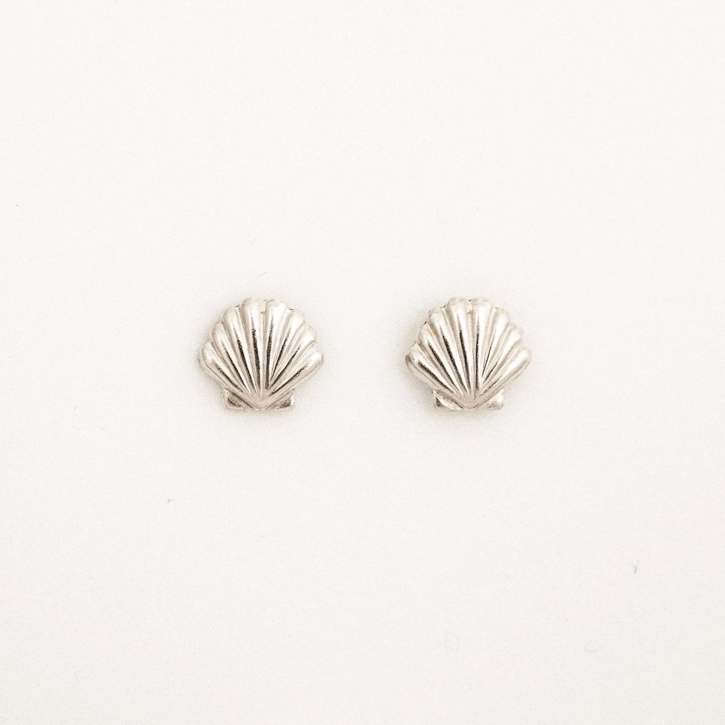 Seashell Stud Earrings