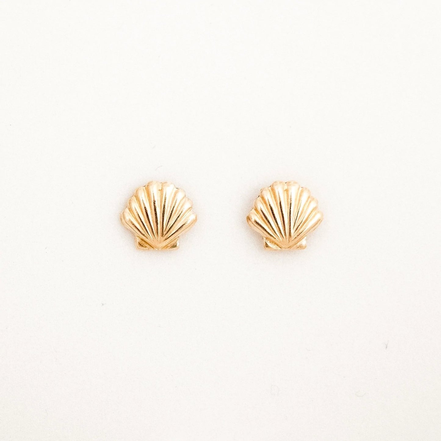 Seashell Stud Earrings