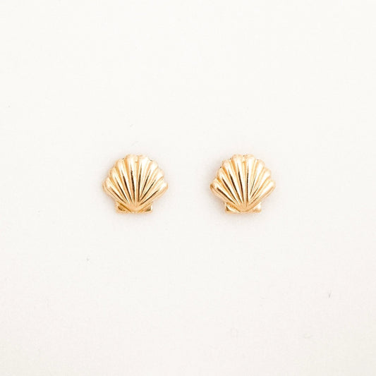 Seashell Stud Earrings