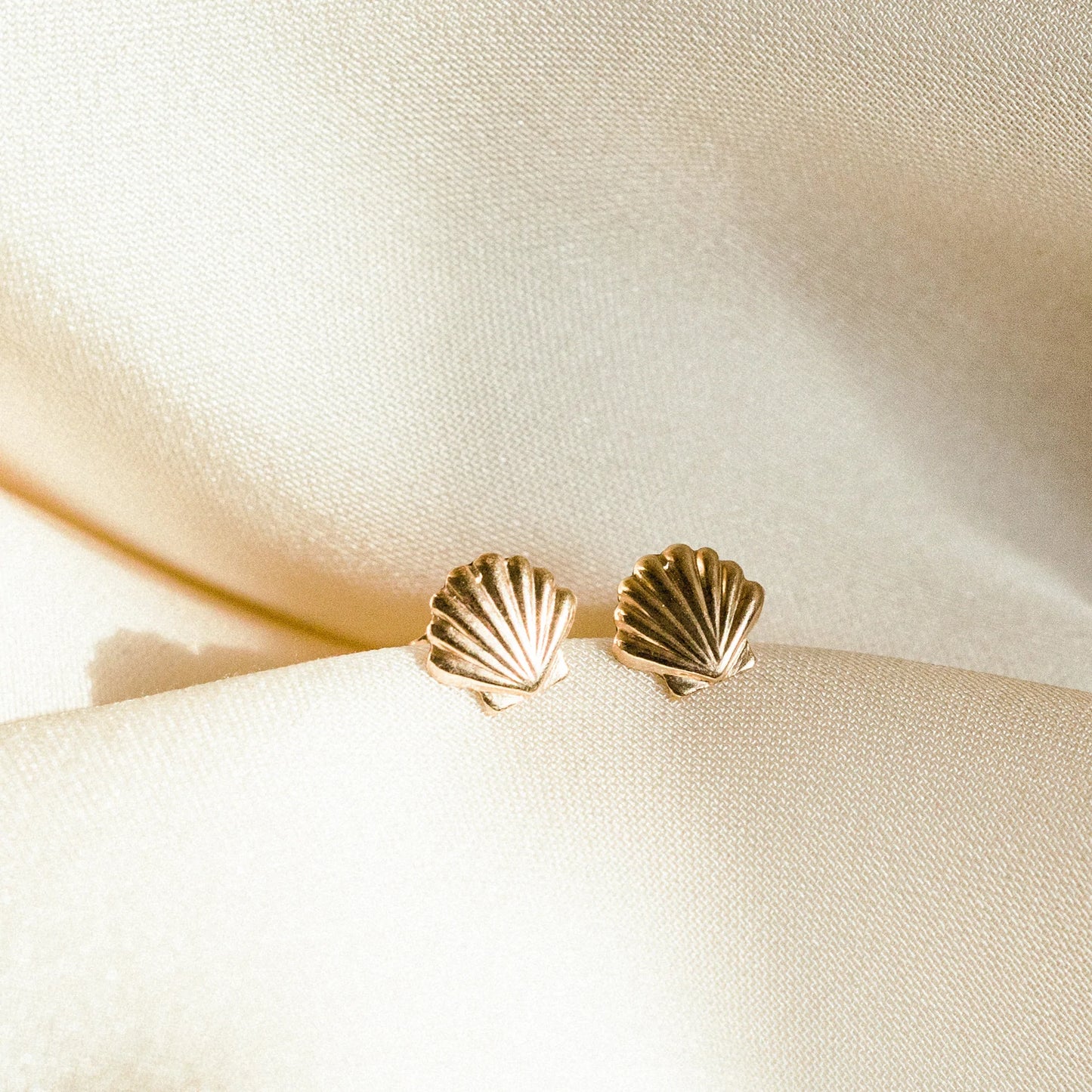 Seashell Stud Earrings
